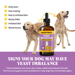 Special Breed ingredients-naturels-levure chien, formulation douce pour le confort quotidien