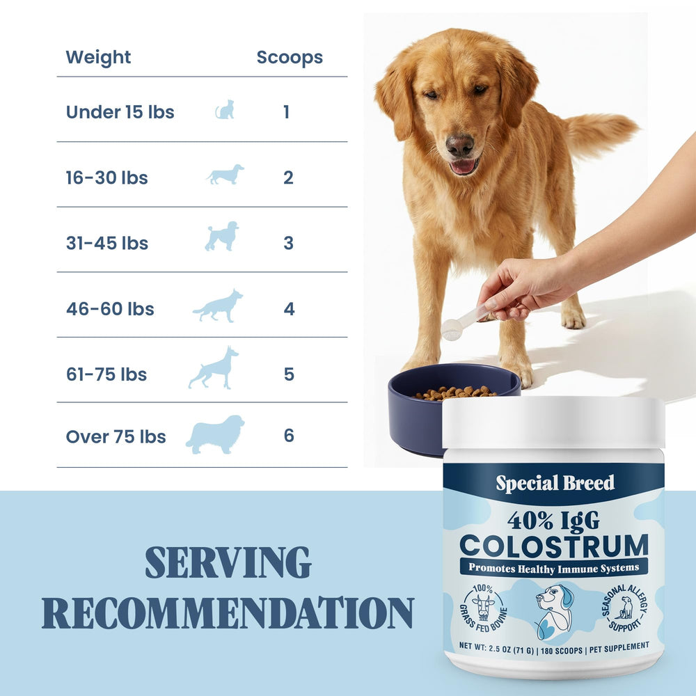 Special Breed Peau et poil – colostrum pour chien, énergie et brillance.