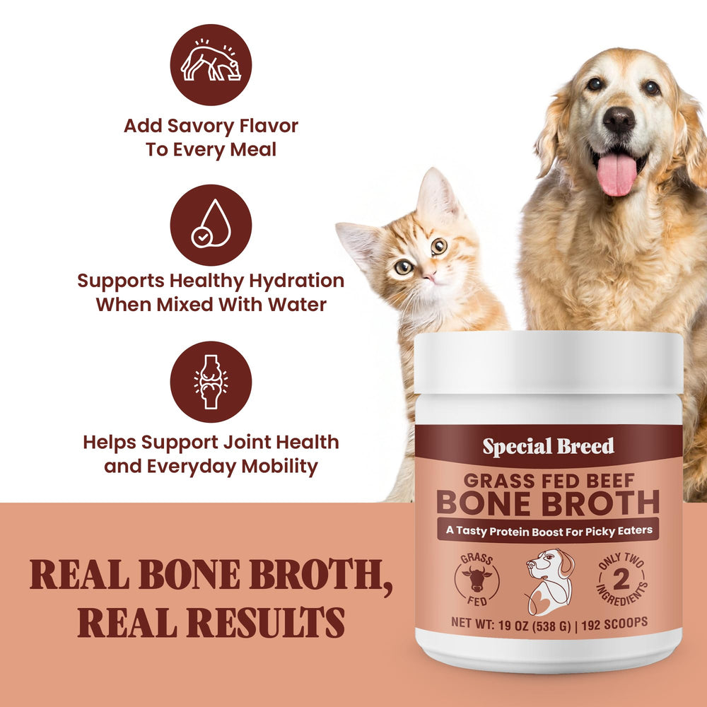 Texture fine de la poudre Special Breed, idéale pour rehausser les repas chiens et chats.