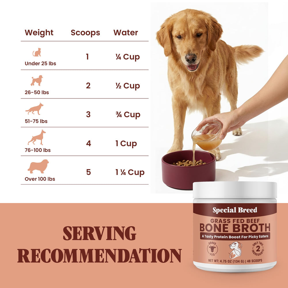 Special Breed bol nourrissant poudre bouillon os boeuf, aide à l'hydratation des repas.