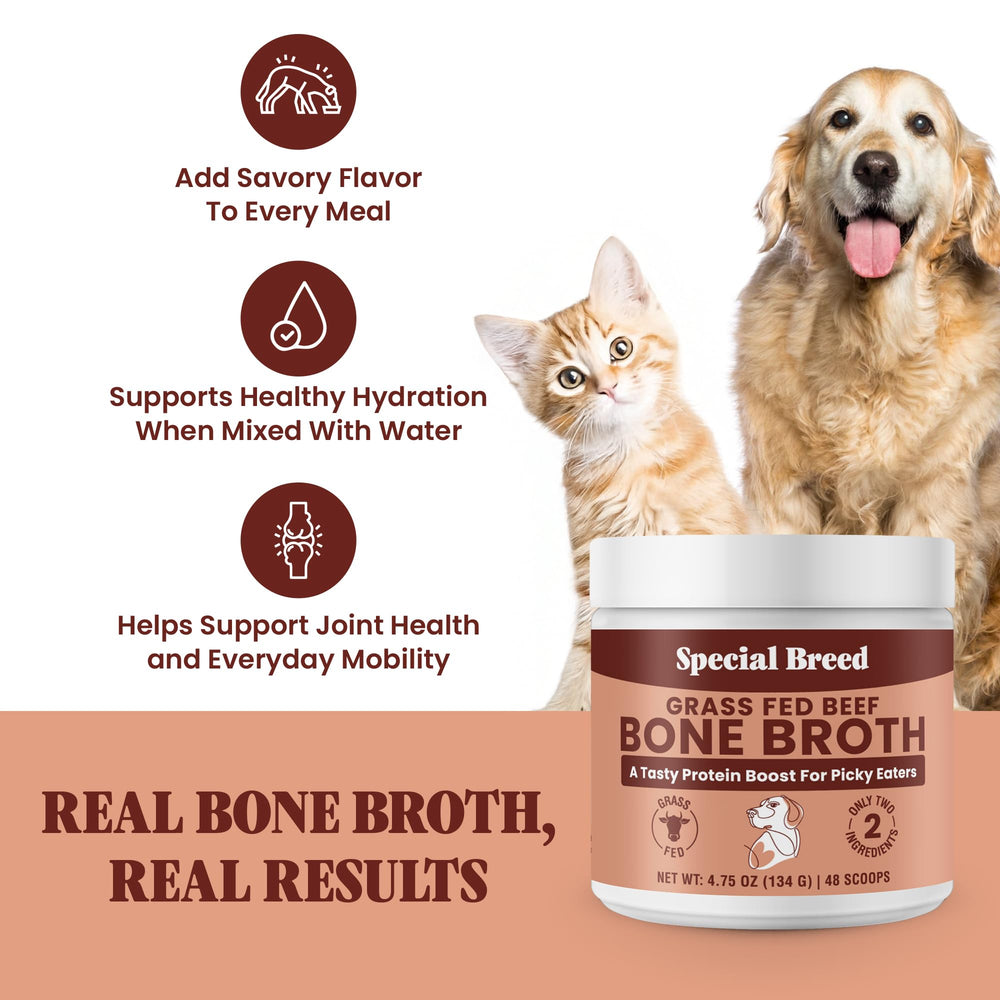 Special Breed doseuse poudre bouillon os boeuf, apport précis pour les portions.