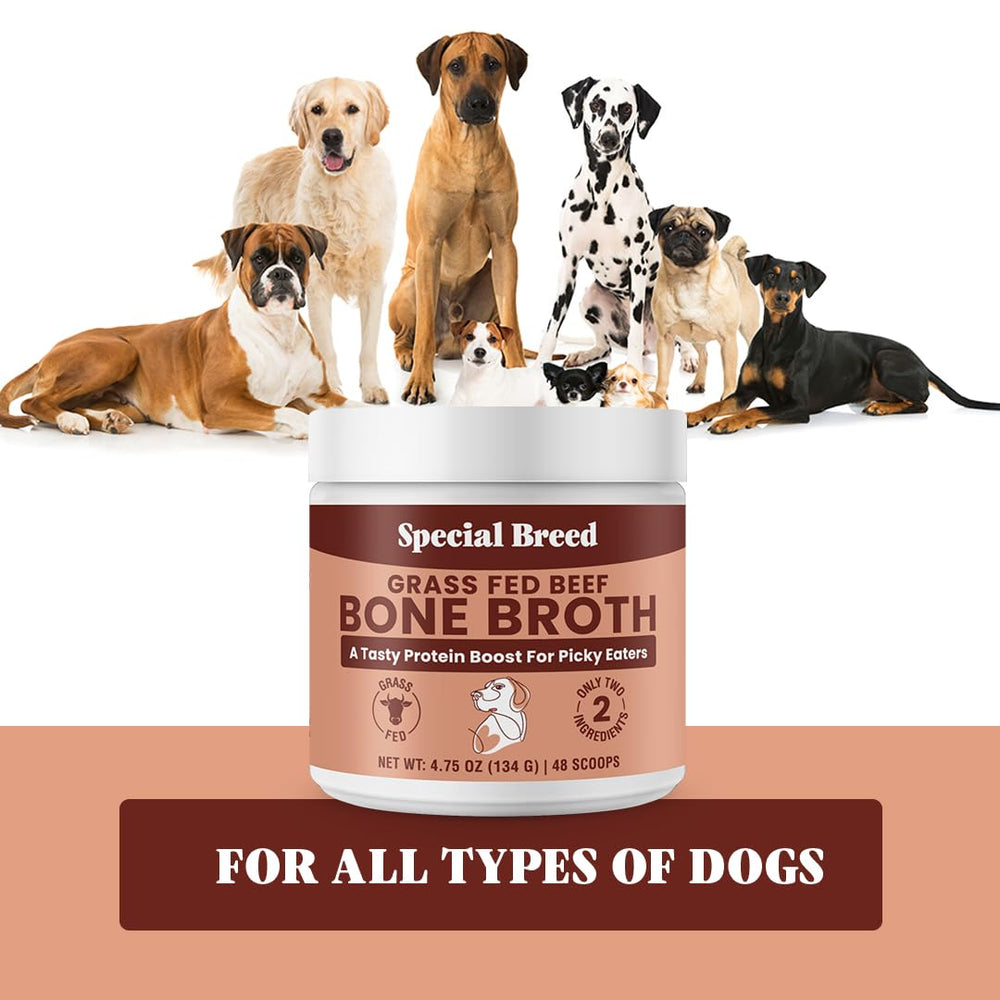 Special Breed fabrication usa poudre bouillon os boeuf, qualité et traçabilité.