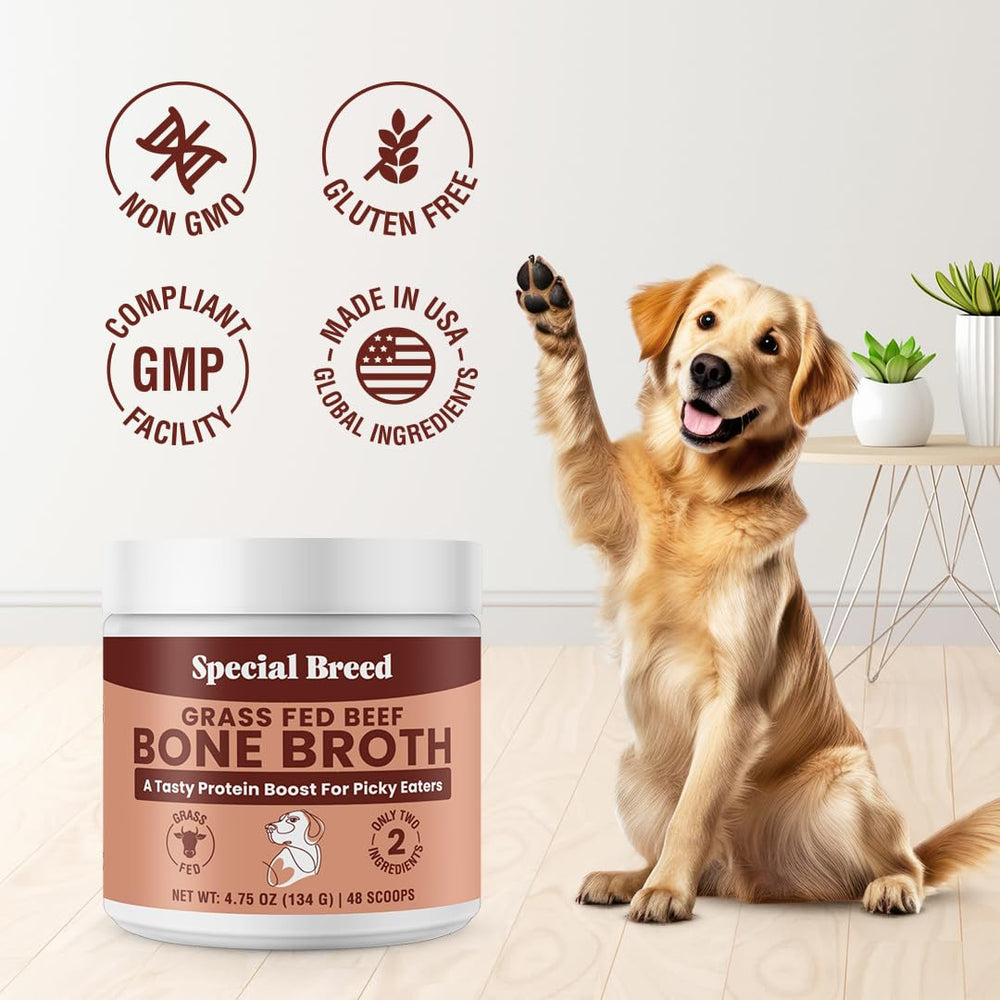 Special Breed ideal pour senior poudre bouillon os boeuf, facilite la prise des repas.