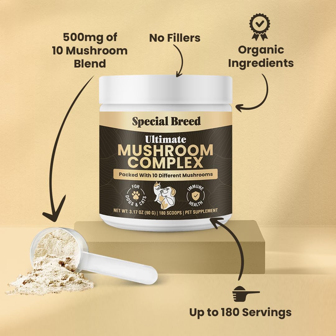 Special Breed Poudre champignons - convient à chiens et chats, usage quotidien sans pilules.
