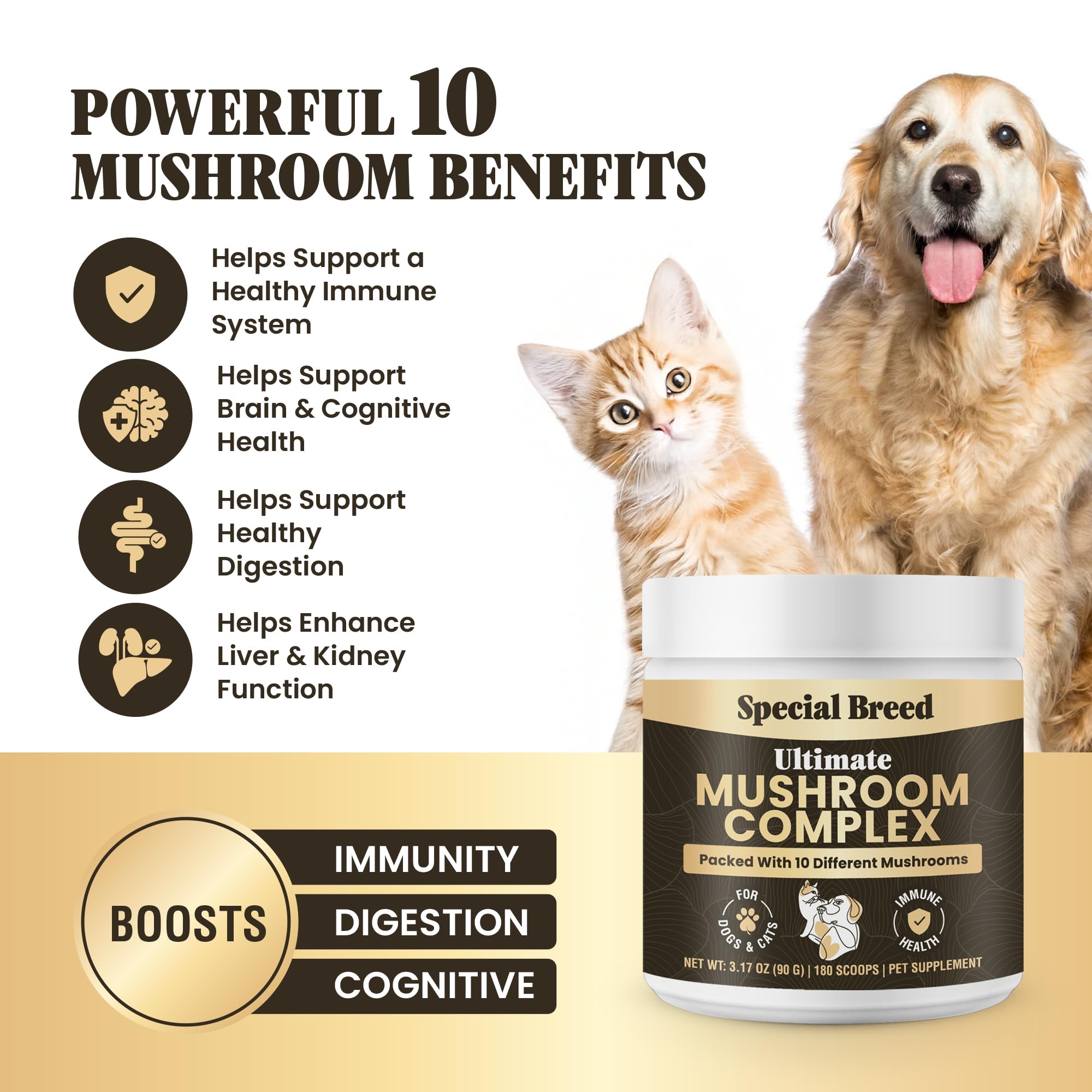 Special Breed Poudre champignons - doseur, facile à mélanger dans les repas quotidiens.
