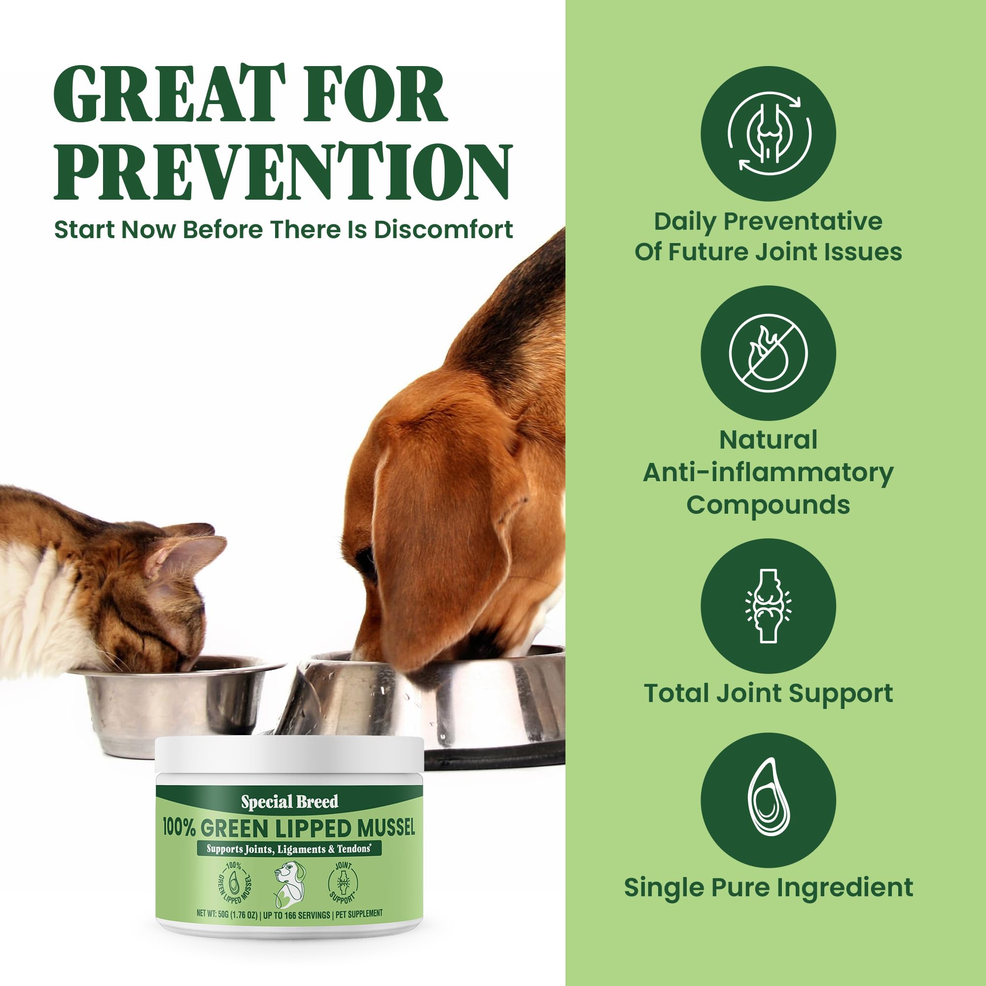 Special Breed poudre chat-articulations – aide à maintenir les hanches et articulations.