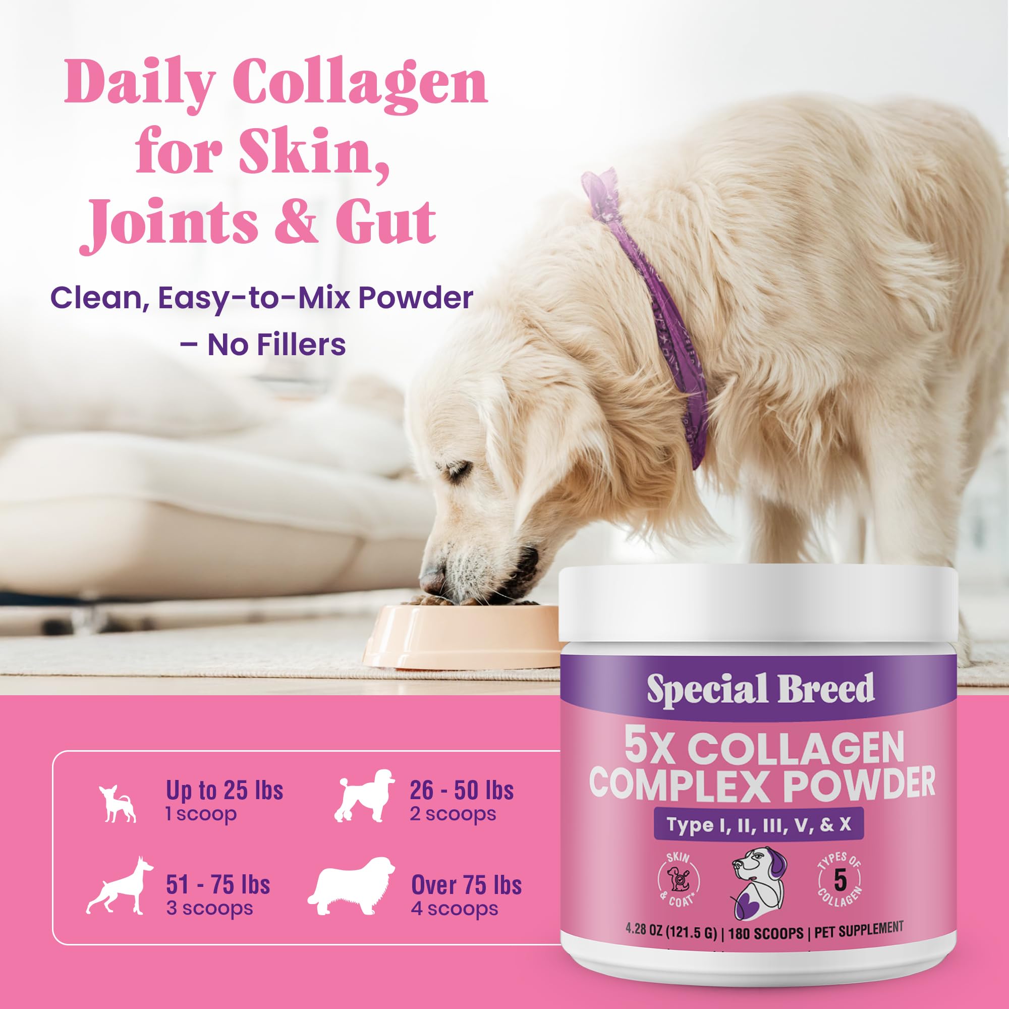 Special Breed mélange rapide avec aliments, pratique au quotidien.