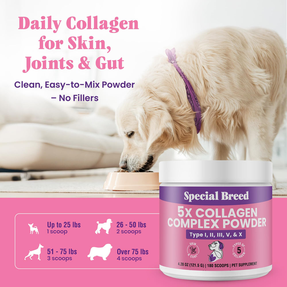 Special Breed mélange rapide avec aliments, pratique au quotidien.