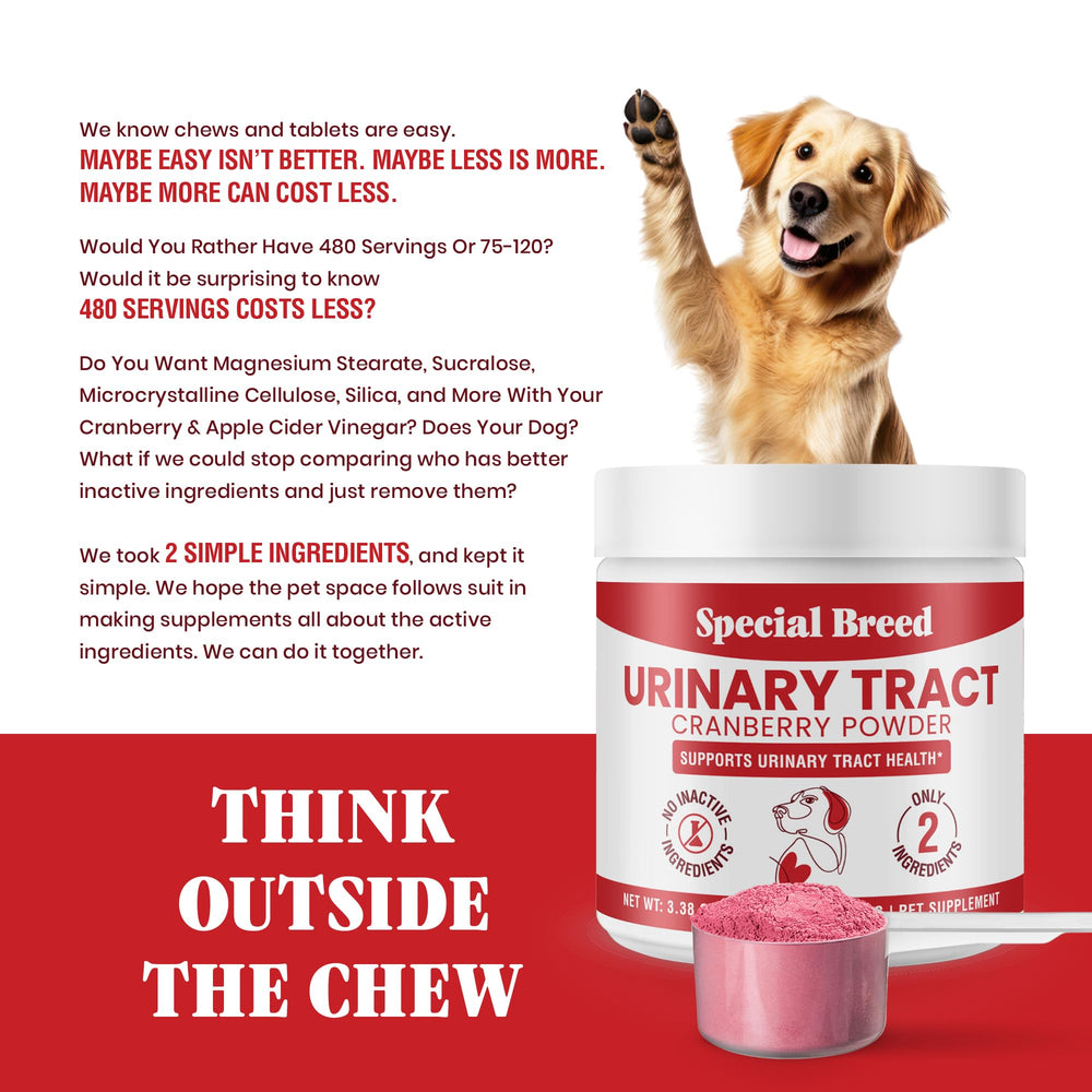 Poudre neutre prête à être mélangée à l’alimentation du chien.