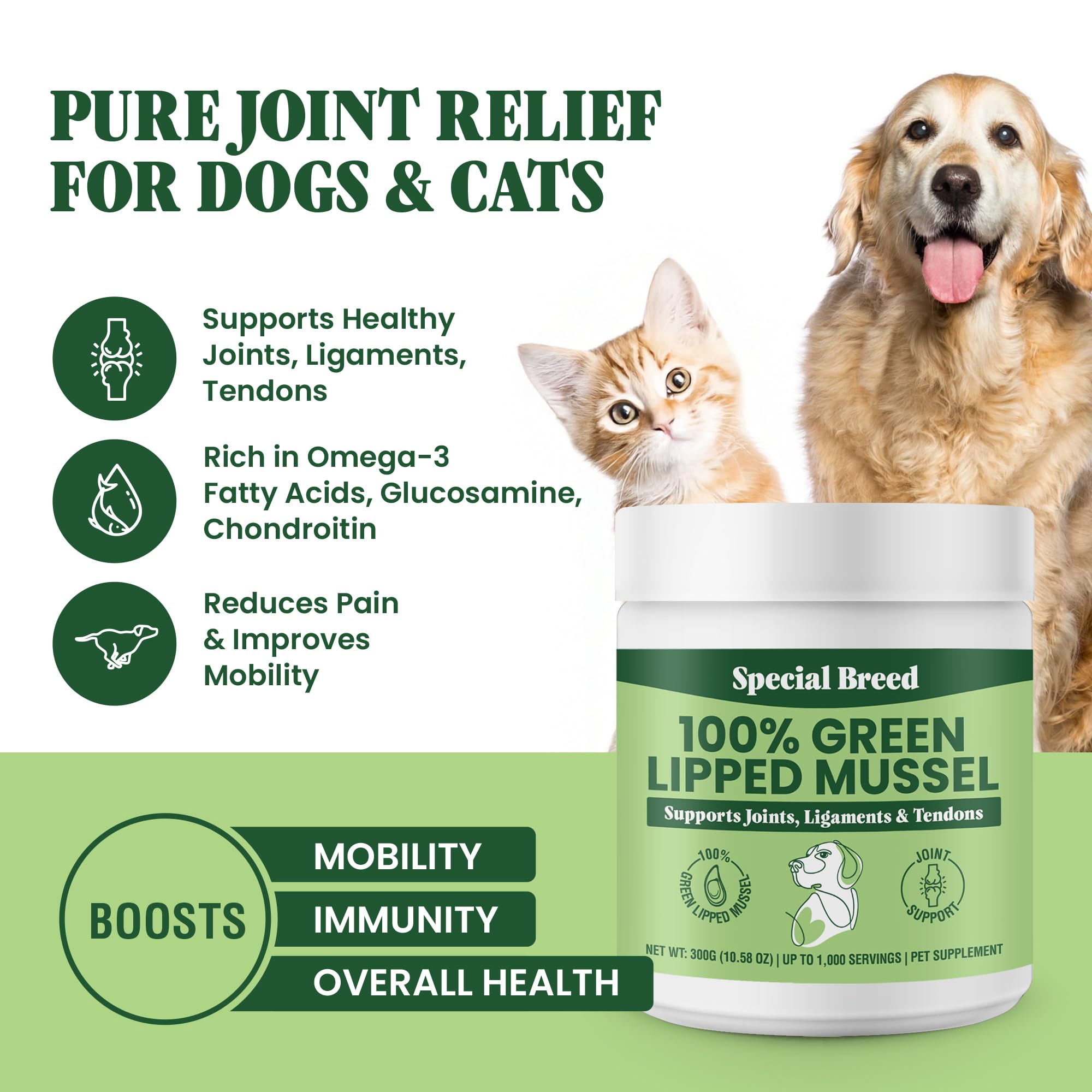 Special Breed Poudre moules vertes pour chats, maintien potentiel des articulations pendant les jeux.