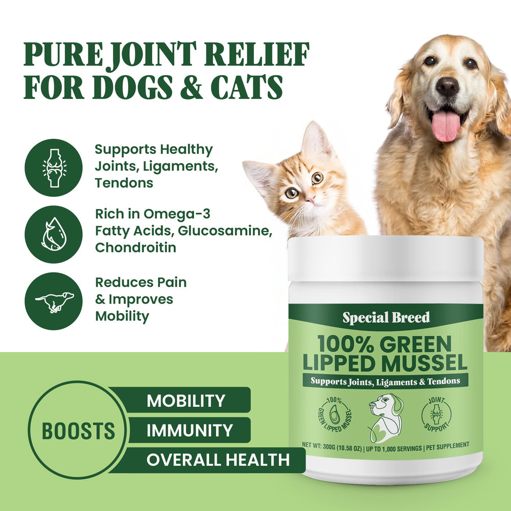 Special Breed Poudre moules vertes pour chats, maintien potentiel des articulations pendant les jeux.