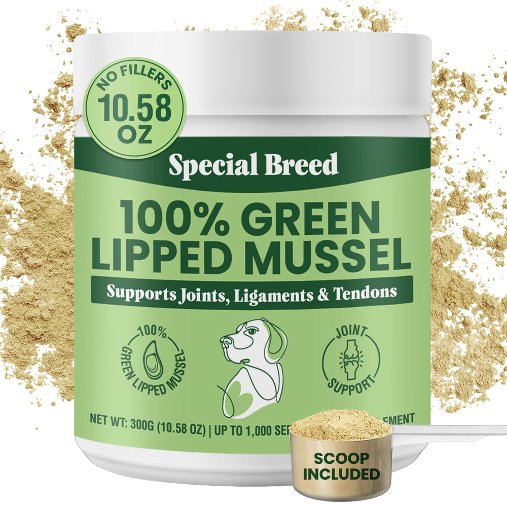 Special Breed Poudre moules vertes pour chiens, soutien potentiel des articulations lors des promenades.