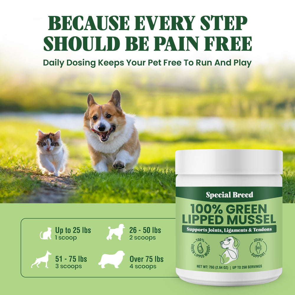 Special Breed poudre pratique, dosage quotidien simple pour chiens et chats.