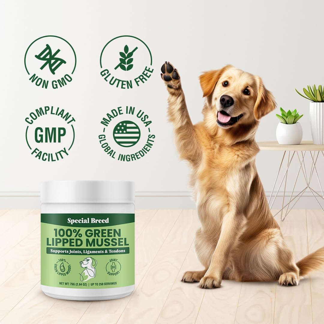 Special Breed produit sain favorisant l'entretien des articulations au quotidien.