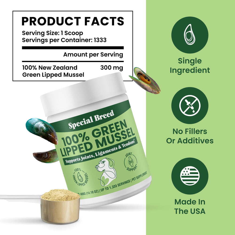 Special Breed – pot transparent permettant de surveiller le niveau et la fraîcheur