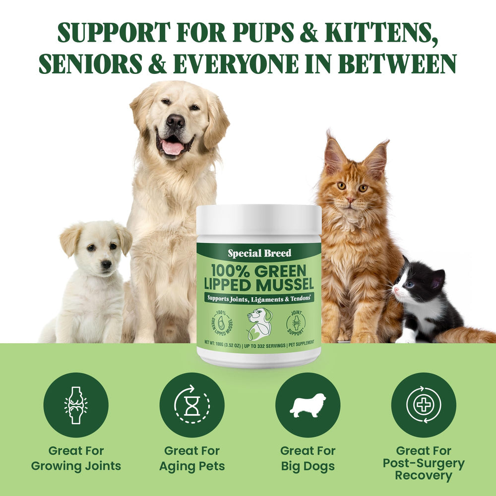 Special Breed poudre facile à ajouter au repas pour soutenir joints et muscles.