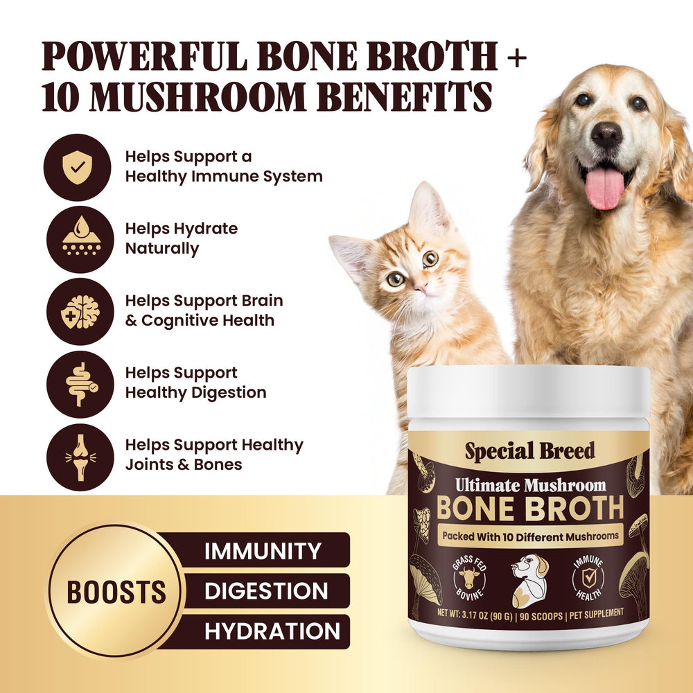 Special Breed proteine-elevee-poudre: poudre riche en protéines pour rehausser les repas.