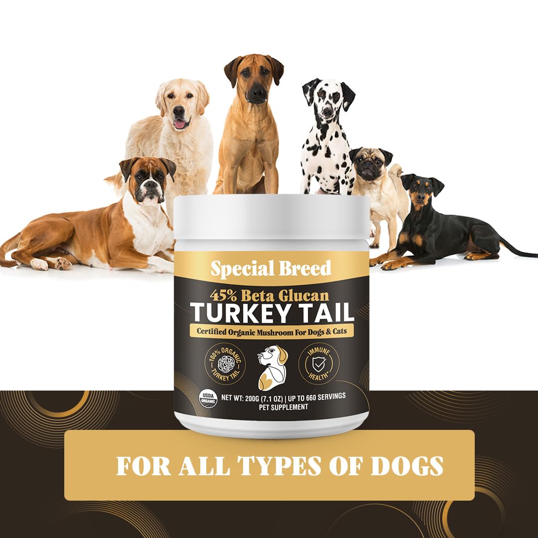 Special Breed queue de dinde: test labo indépendant vérifiant pureté et activité.