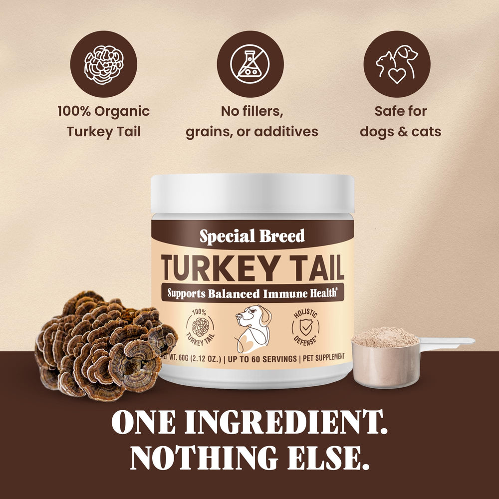 Special Breed sans céréales ni fillers, nutrition simple et sûre