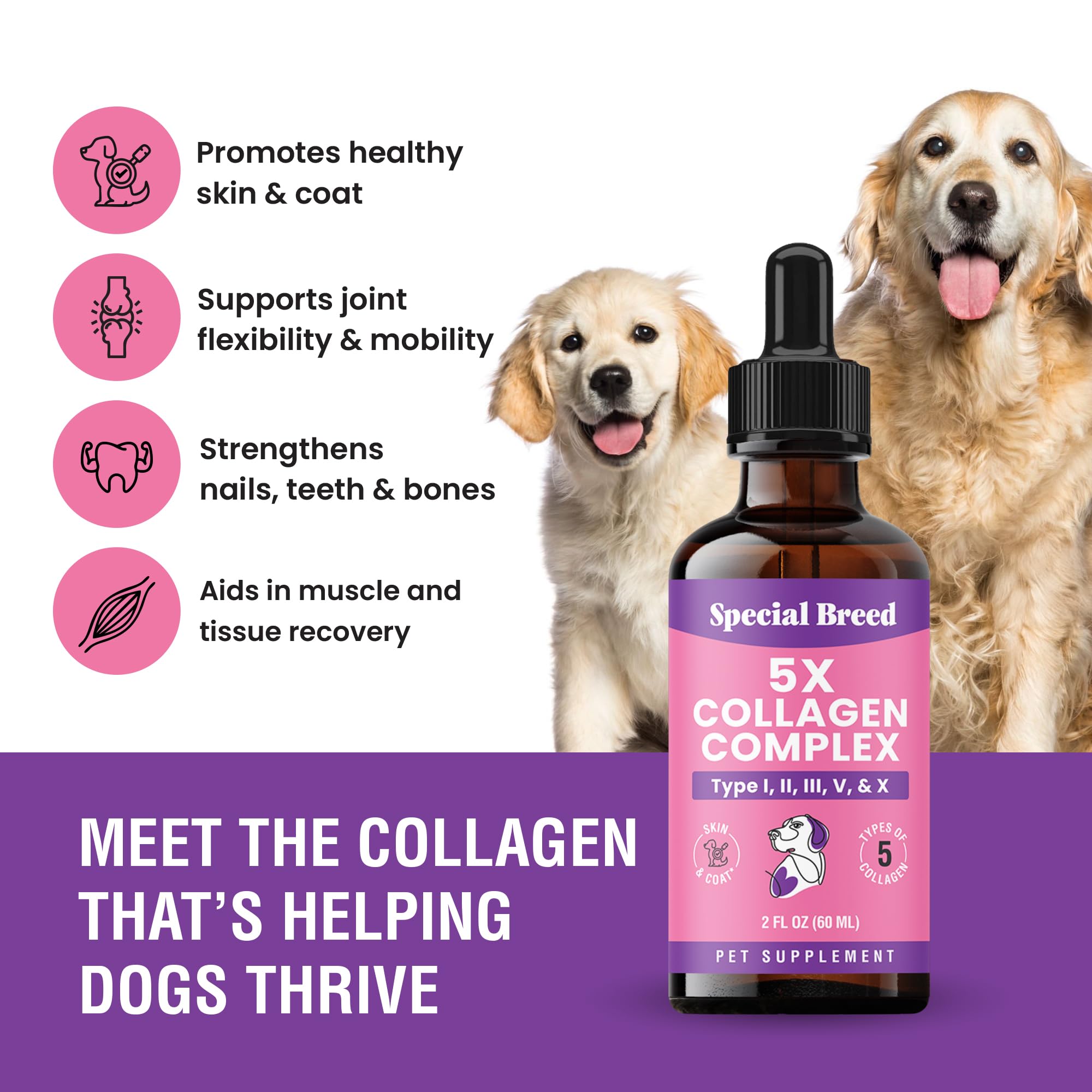 Special Breed Collagene chien: articulation et mouvement en douceur.