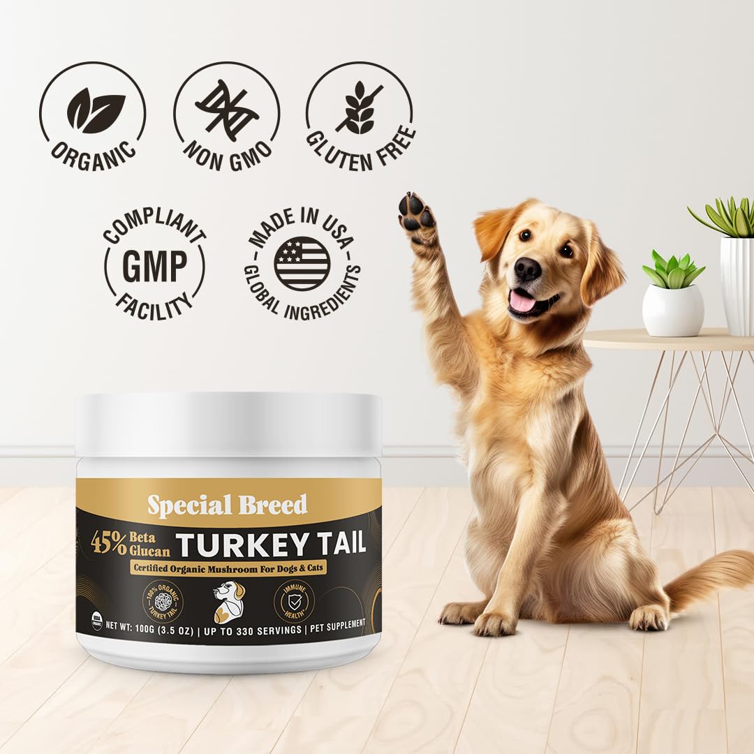 Special Breed tramete queue-dinde biologique certifiée USDA, qualité biologique attestée