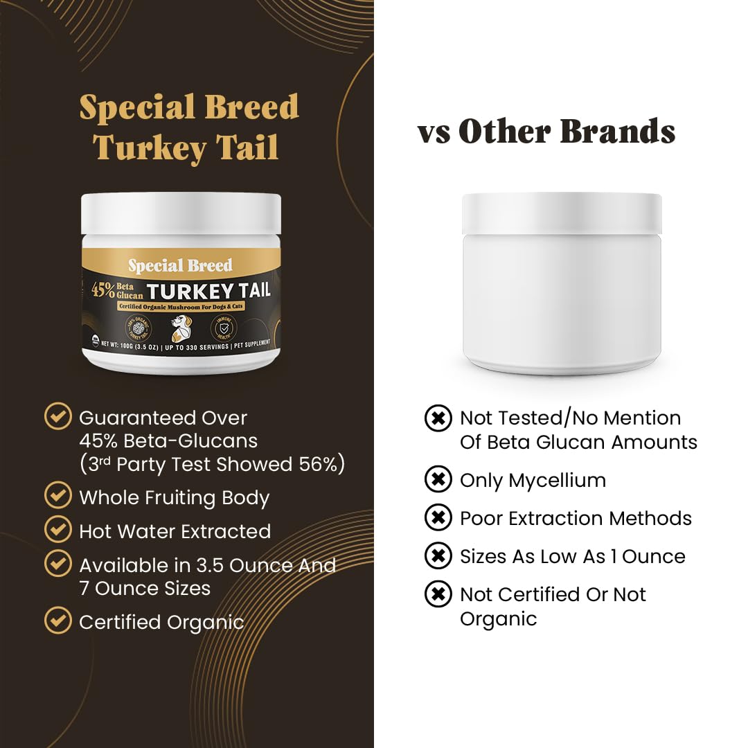 Special Breed tramete queue-dinde extraction-eau-chaude, meilleure biodisponibilité des composants