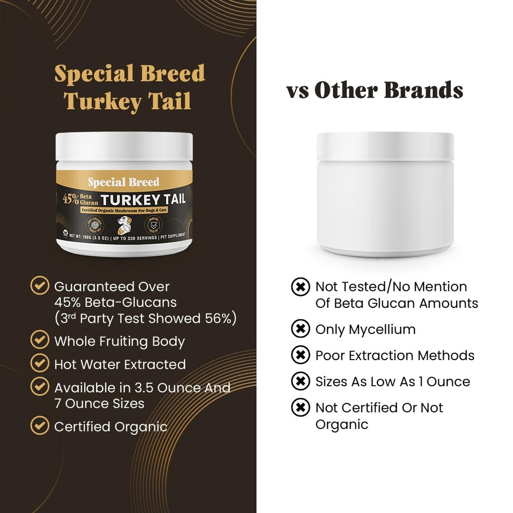 Special Breed tramete queue-dinde extraction-eau-chaude, meilleure biodisponibilité des composants
