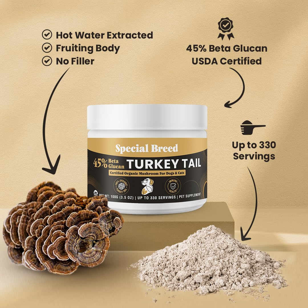 Special Breed tramete queue-dinde sans-additifs, produit pur et sûr