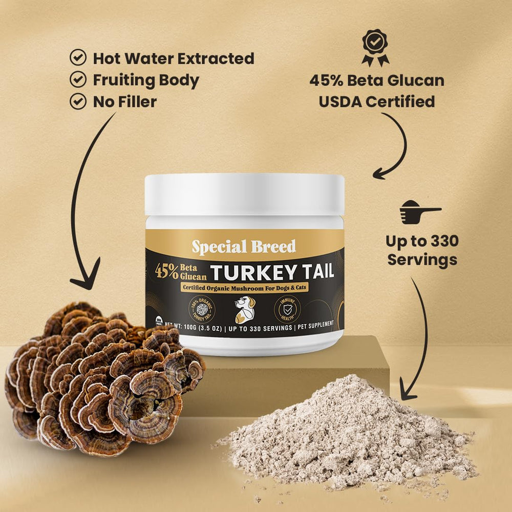 Special Breed tramete queue-dinde sans-additifs, produit pur et sûr