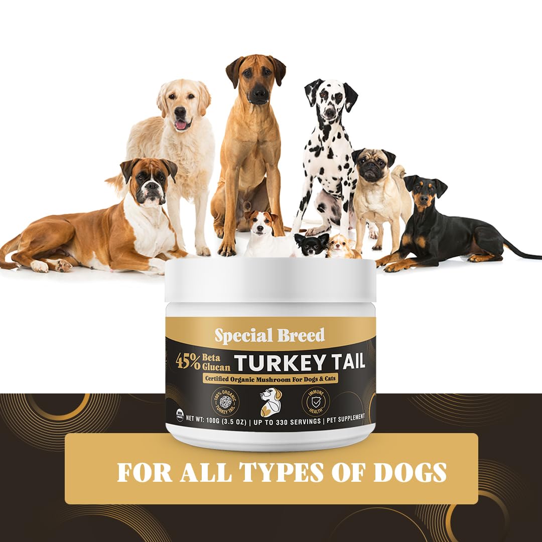 Special Breed tramete queue-dinde testée en laboratoire, pureté et constance vérifiées