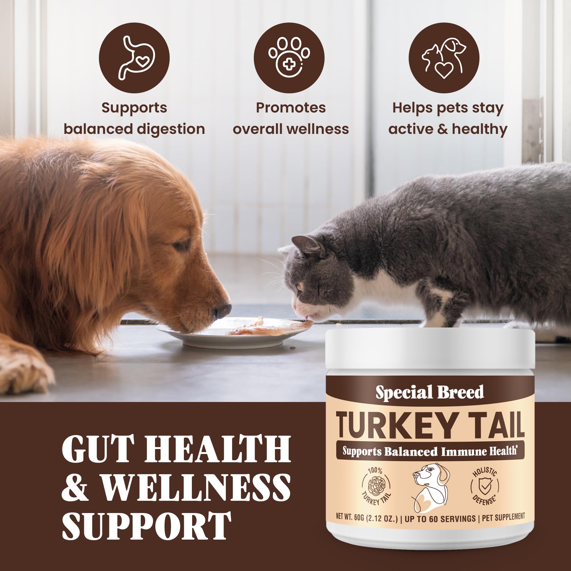 Special Breed utilisation quotidienne, facile pour chiens et chats