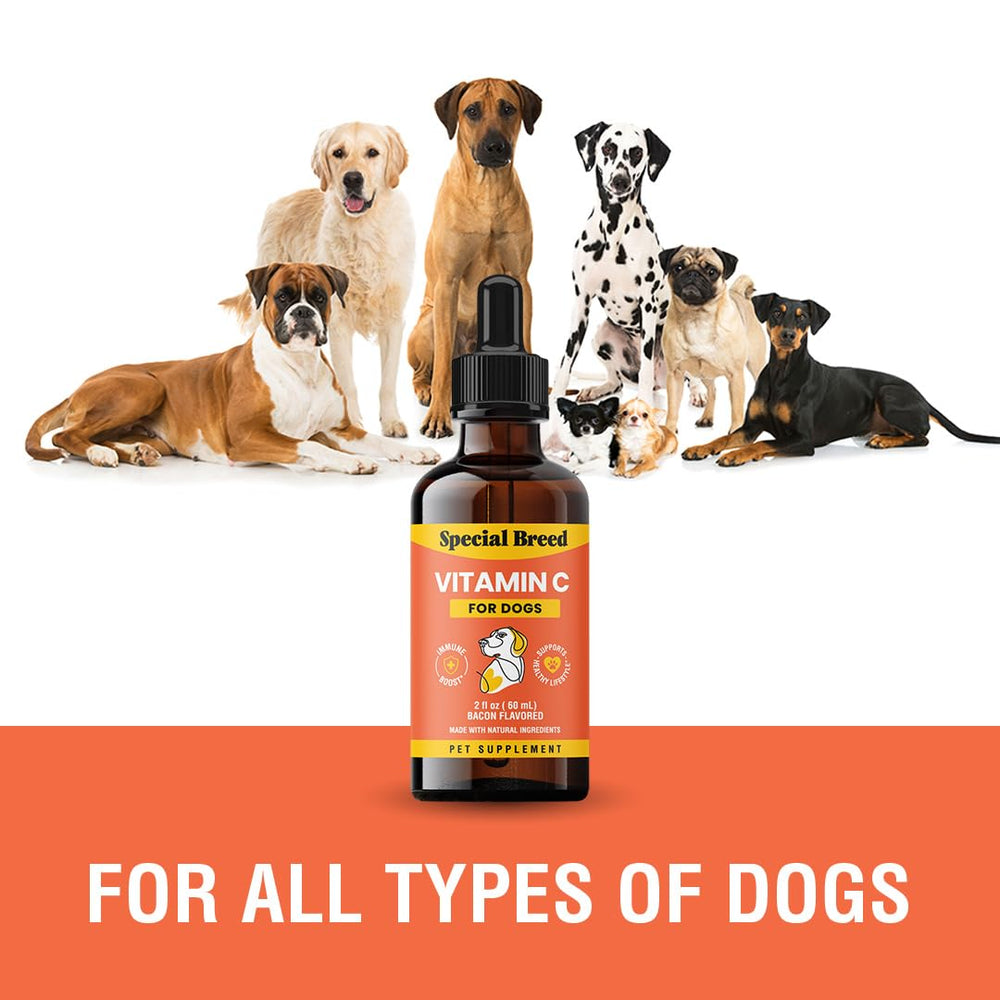 Special Breed Vitamine C pour chien, dose pratique, administration facile.