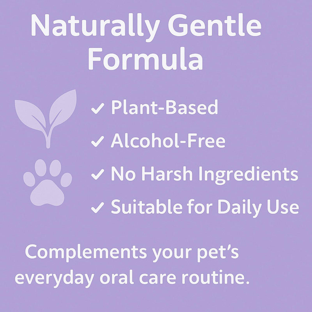 SPEORARY Furaqua – Routine buccale pratique pour chien et chat multi-animaux.