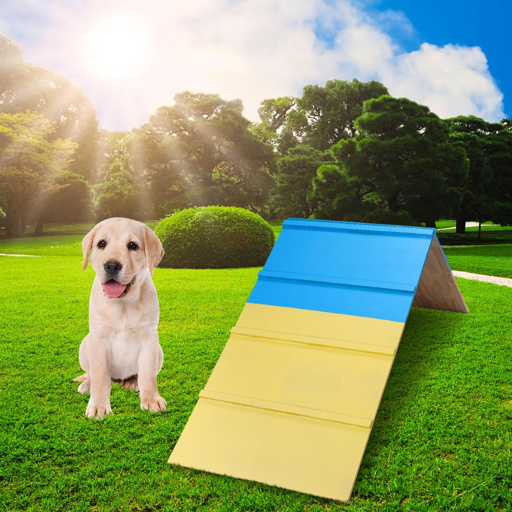 Spiareal angle reglable et chaîne: ajustement facile du niveau d’entraînement