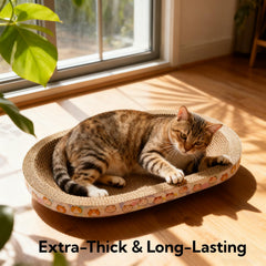 Spindro nid chat carton-confort: espace cosy pour repos.