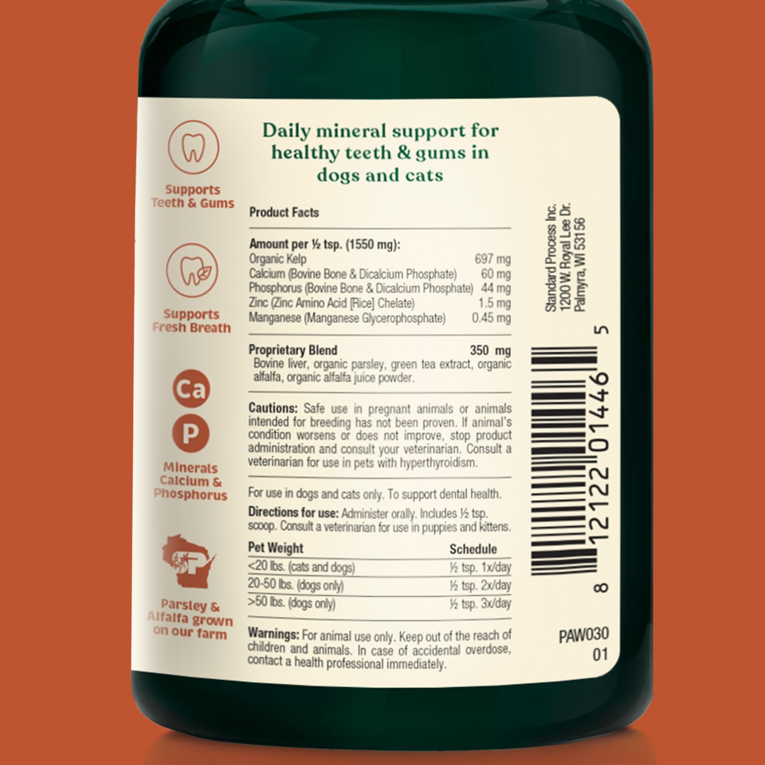 Spirited Paw Dental : poudre dentaire quotidienne pour chiens et chats