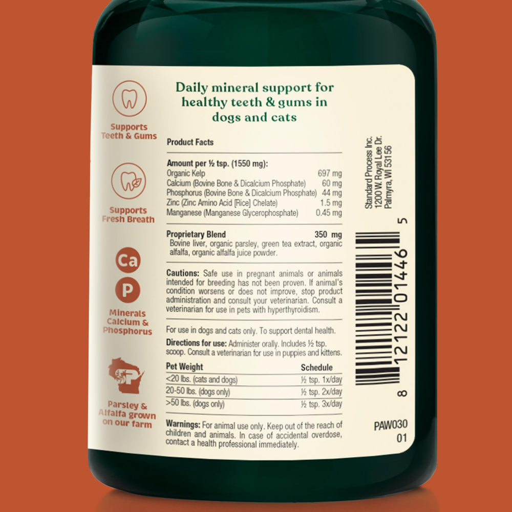 Spirited Paw Dental : poudre dentaire quotidienne pour chiens et chats