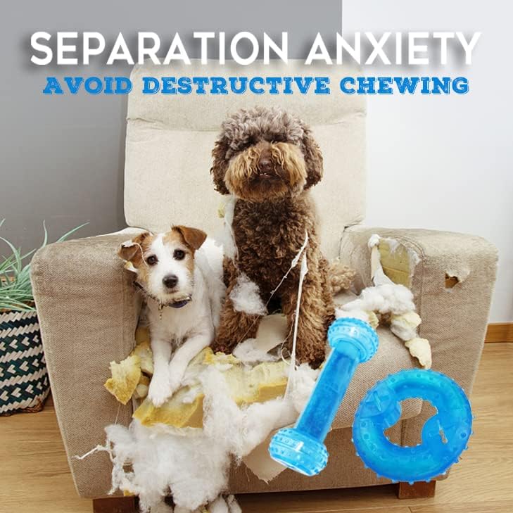 Jouet SPOFLY nettoyage des dents avec textures pour chiots