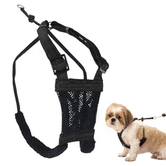 Harnais Sporn anti-pull pour petit chien, douceur et contrôle sans strangulation.
