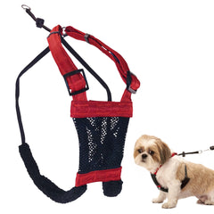 Harnais Sporn No Pull pour petit chien rouge améliore le contrôle en laisse