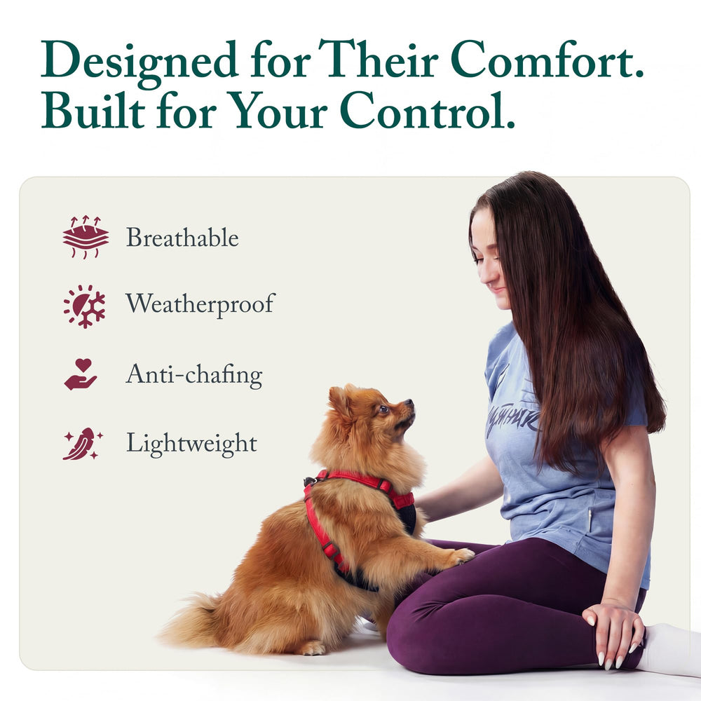Taille adaptée pour petits chiens, confort rouge et ajustement sûr