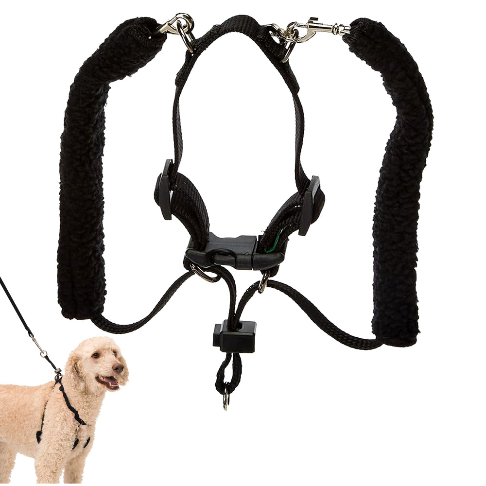 Harnais Sporn Grands Chiens—doublure sherpa douce et respirante pour balades.
