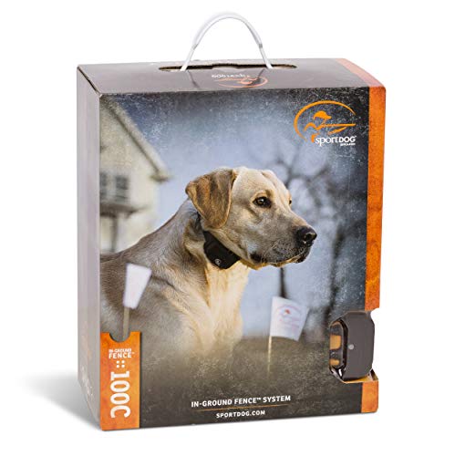 Chien en plein air utilisant SportDOG pour sécurité et liberté contrôlées.