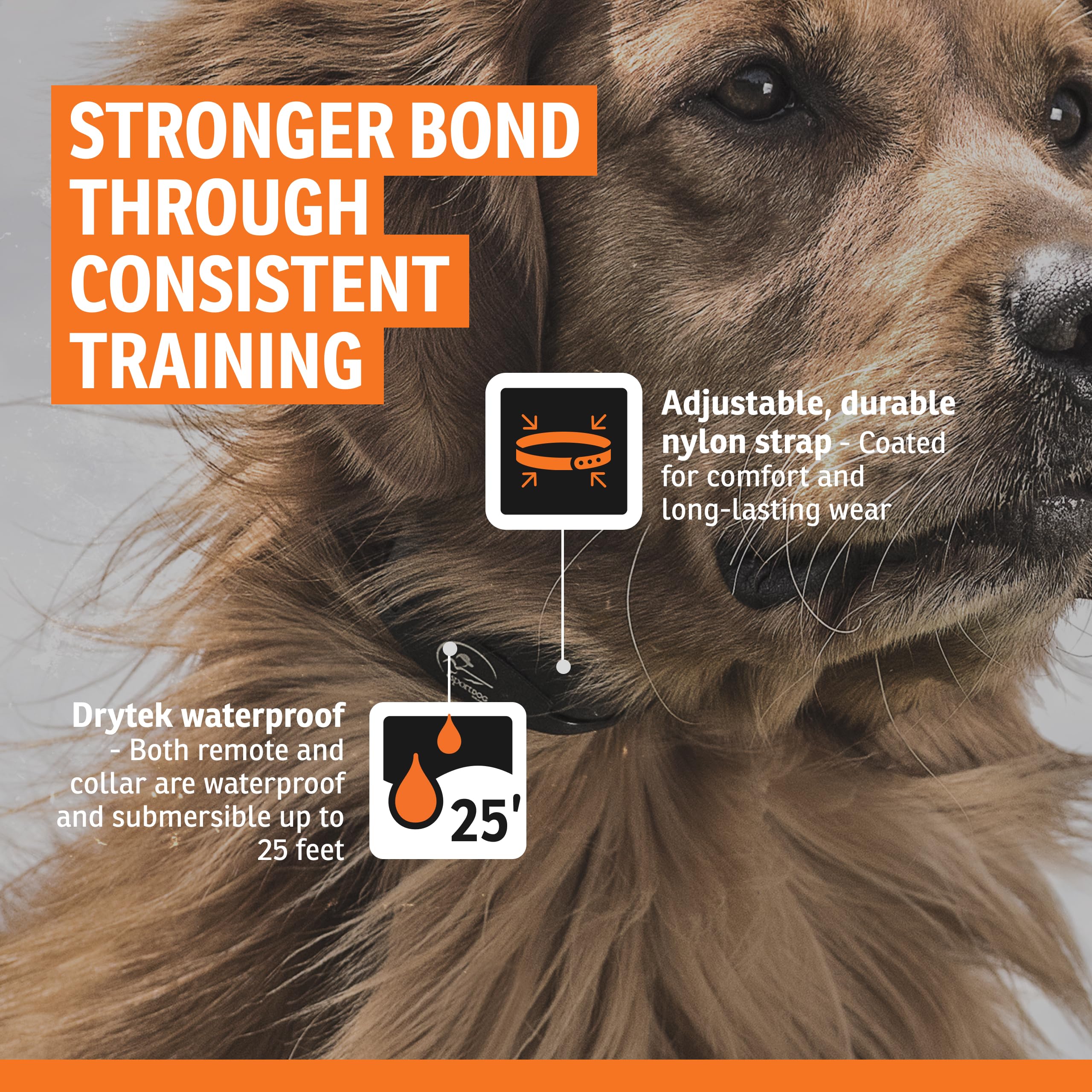 Collier SportDOG en action montrant le comportement lors d’un entraînement.