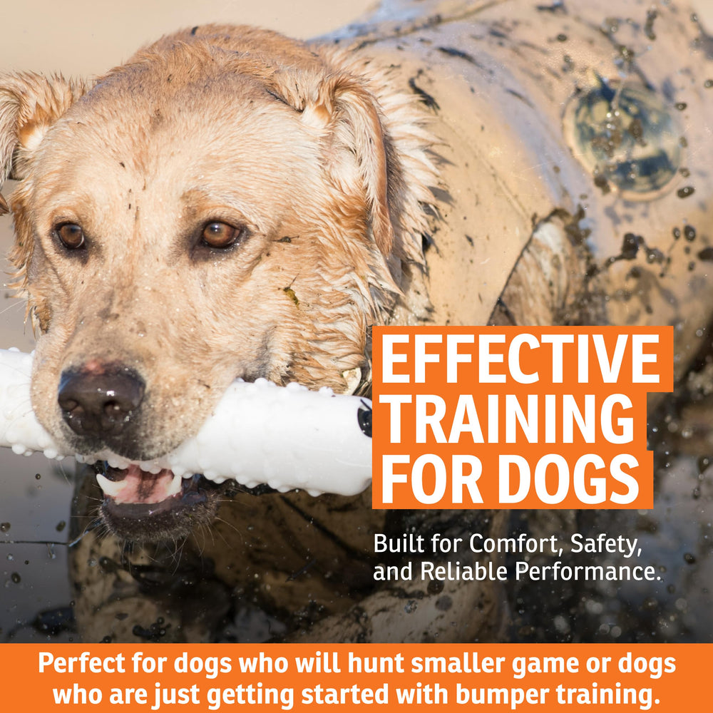 SportDOG Dummies haute visibilite, couleur blanche brillante pour repérer facilement en eau ou terrain.