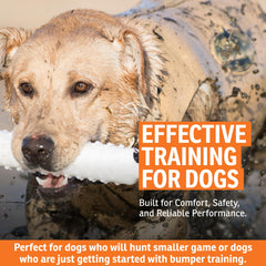 SportDOG Dummies haute visibilite, couleur blanche brillante pour repérer facilement en eau ou terrain.