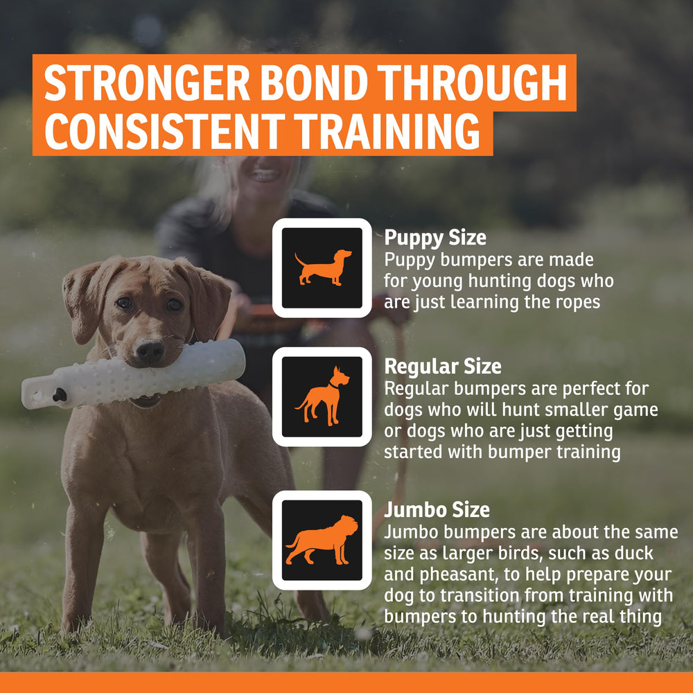 SportDOG Dummies taille régulière 12 pouces, pratique pour chiens de taille moyenne.