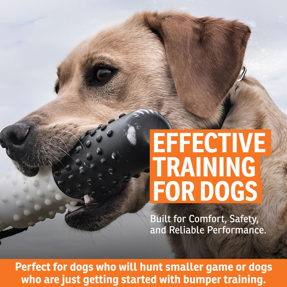 Leurre SportDOG avec bords arrondis pour une prise en bouche plus douce