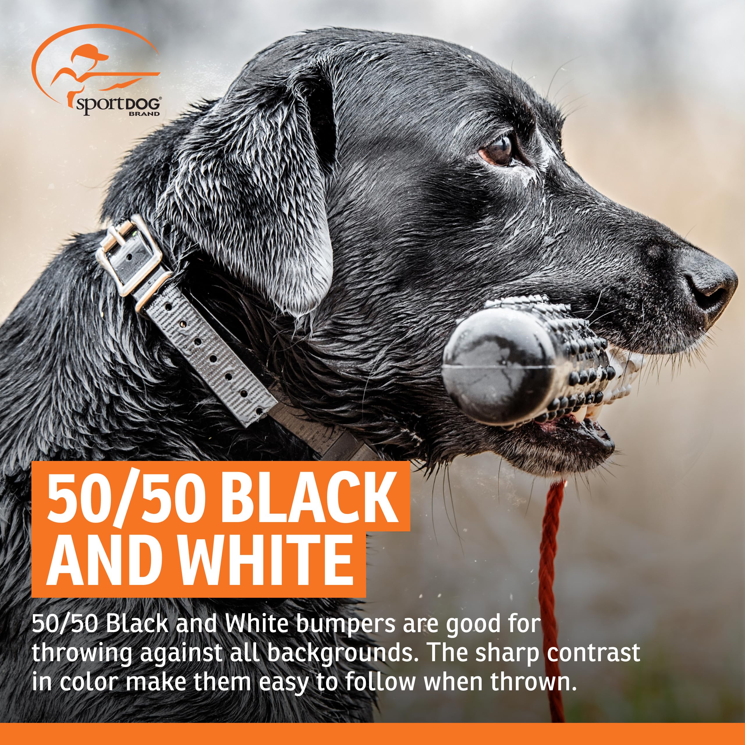 Leurre SportDOG conçu pour résister au plein air et à l usage intensif