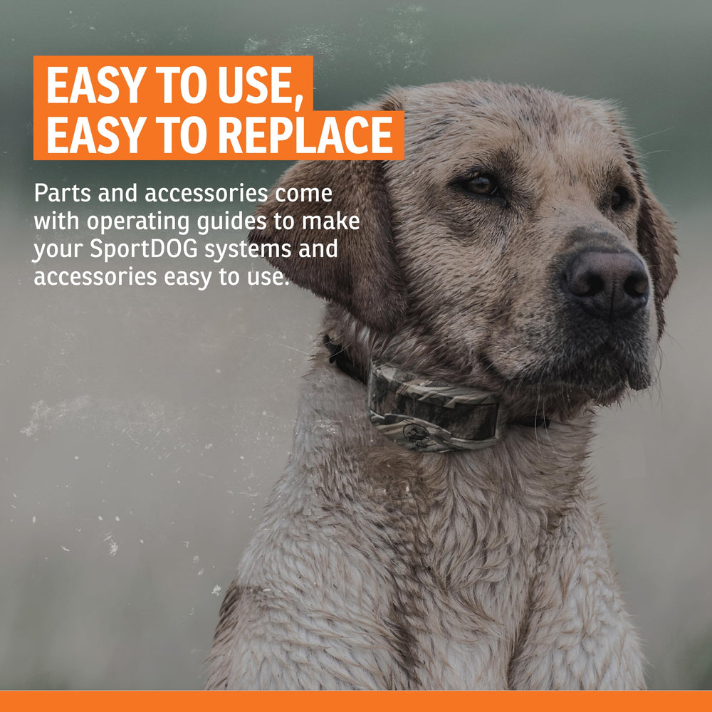 Sifflet idéal pour chiots: SportDOG Roy Gonia Special.